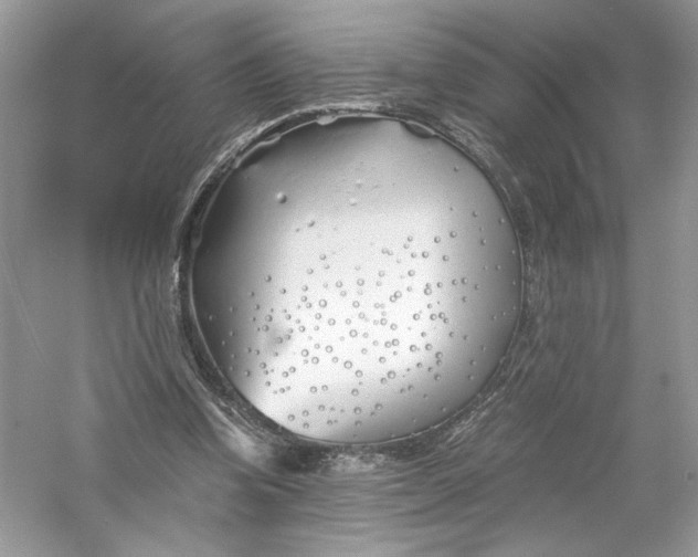X0000056020346200509092145