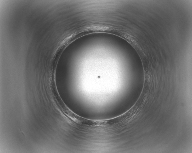 X0000056020352200509092145