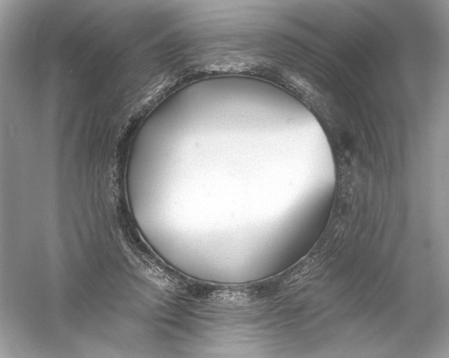 X0000056020354200509092145