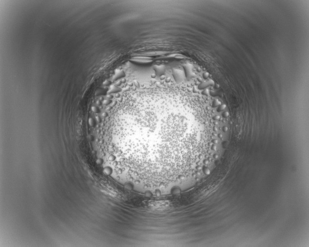 X0000056020355200509092145