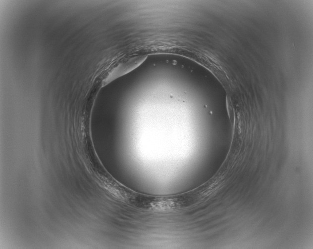 X0000056020362200509092145