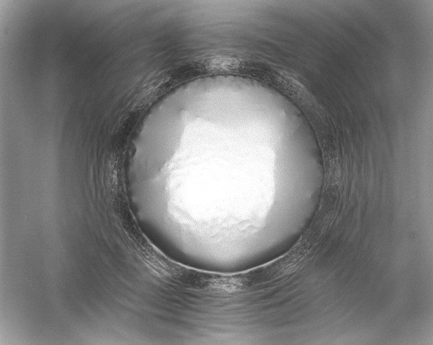 X0000056020363200509092145
