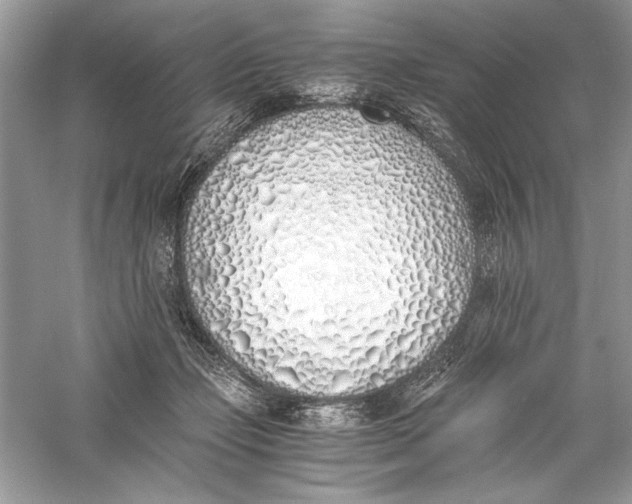 X0000056020365200509092145