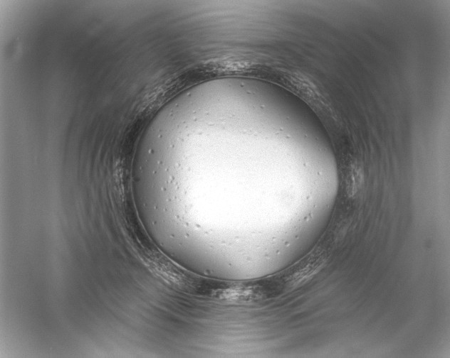 X0000056020366200509092145