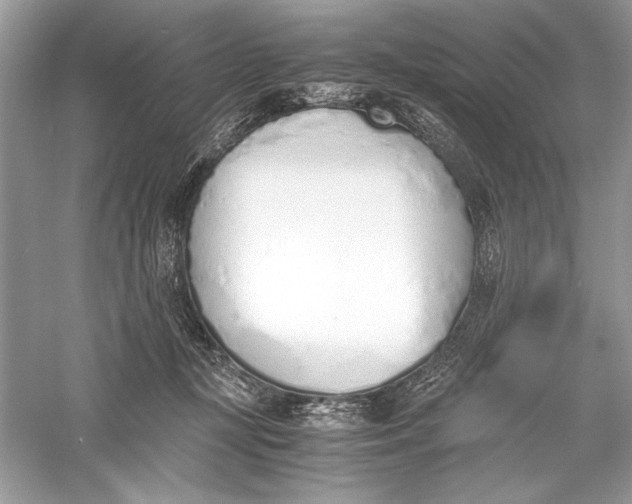 X0000056020367200509092145