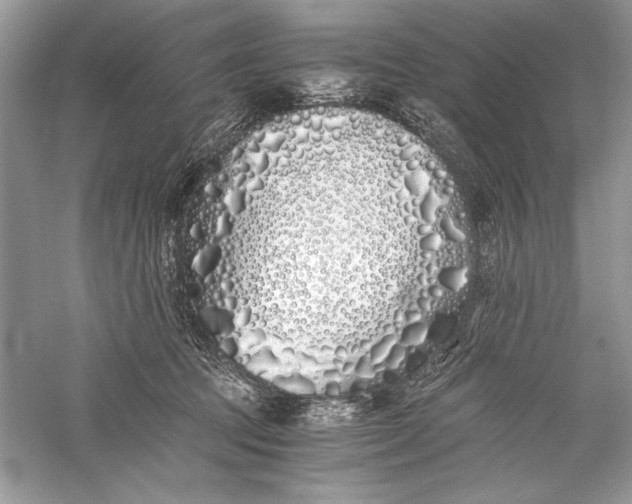 X0000056020369200509092145