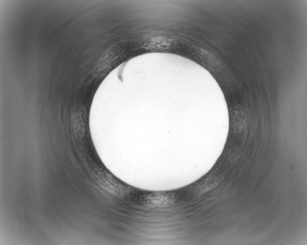 X0000056020370200509092145