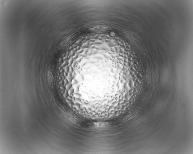 X0000056020371200509092145