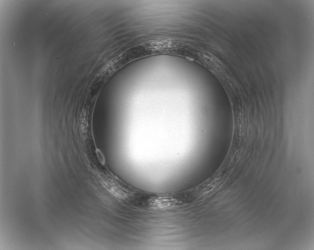 X0000056020372200509092145