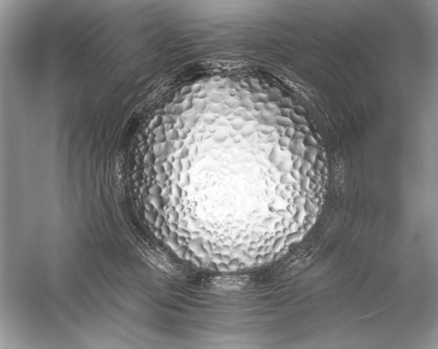 X0000056020373200509092145