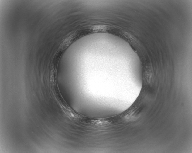 X0000056020379200509092145