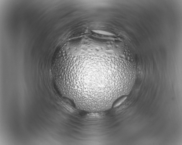 X0000056020381200509092145