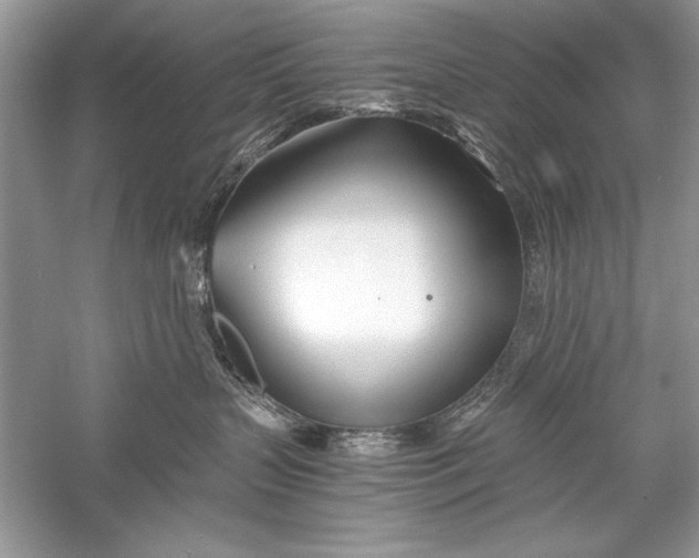 X0000056020383200509092145