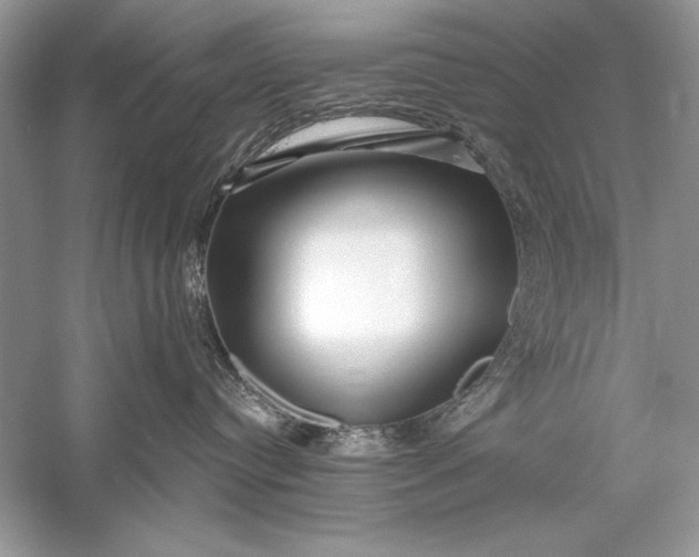 X0000056020384200509092145