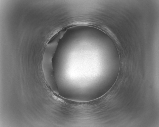 X0000056020385200509092144
