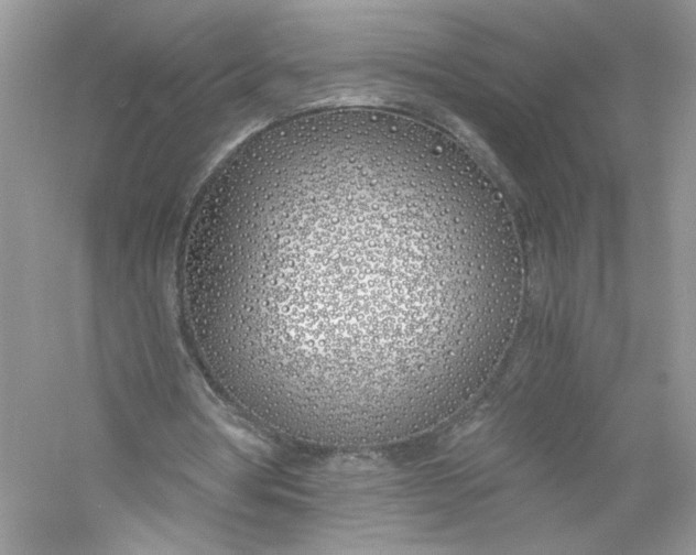 X0000056020386200509092144