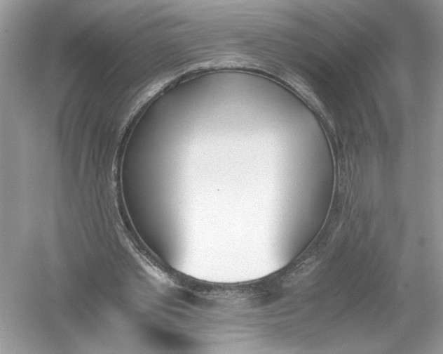 X0000056020389200509092144