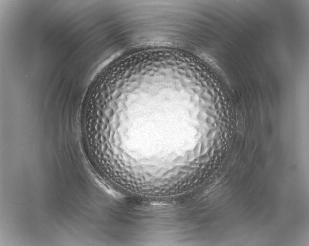 X0000056020390200509092144