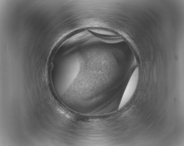 X0000056020391200509092144