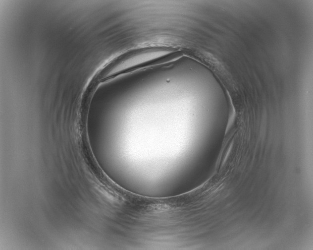 X0000056020392200509092144