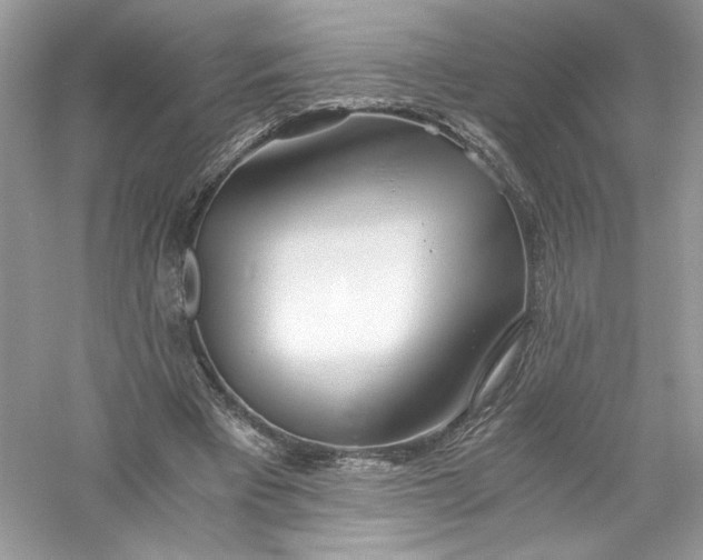 X0000056020393200509092144