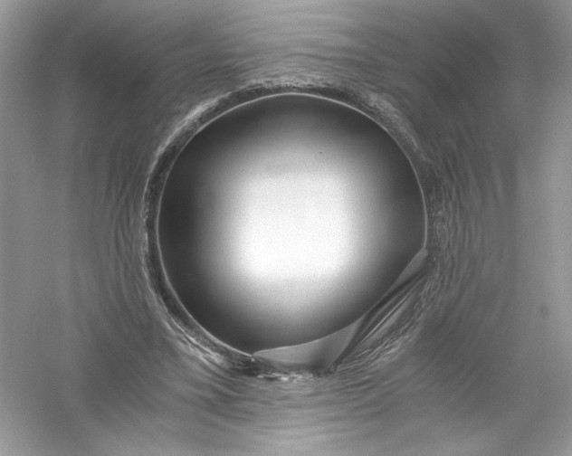 X0000056020395200509092144