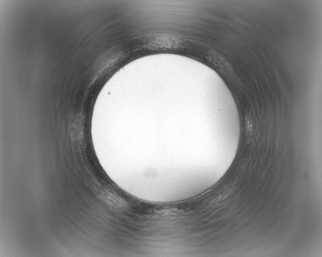 X0000056020396200509092144