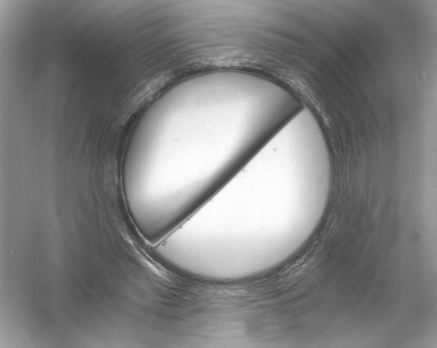 X0000056020397200509092144