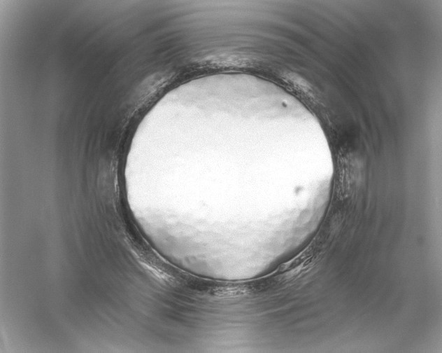 X0000056020398200509092144
