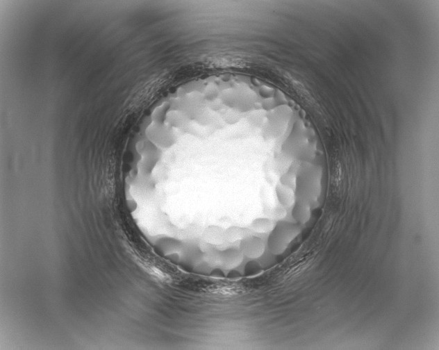 X0000056020402200509092144