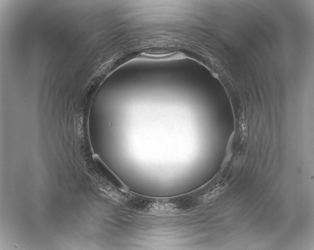 X0000056020403200509092144