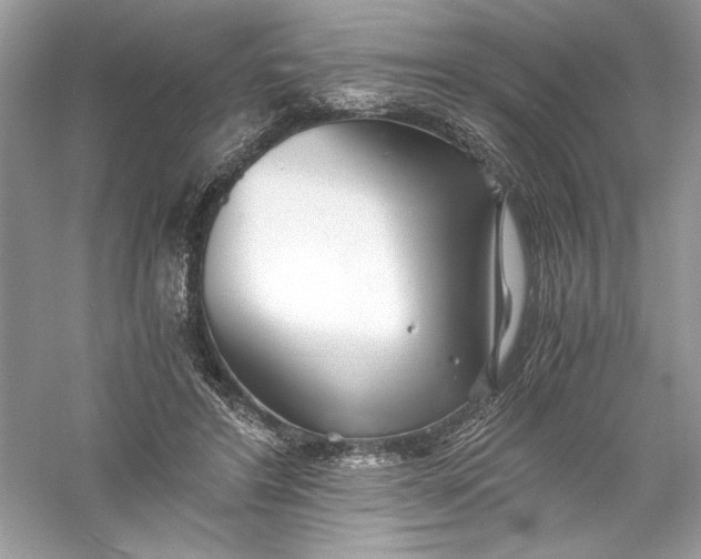 X0000056020404200509092144