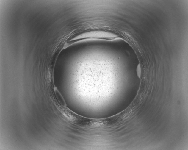 X0000056020405200509092144