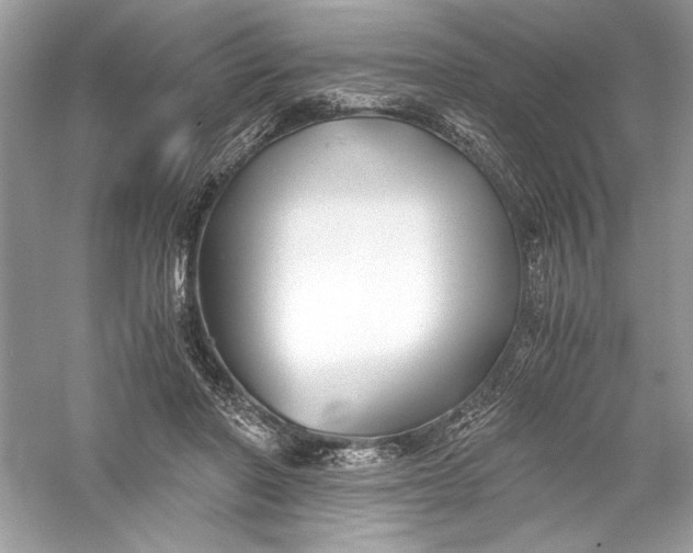 X0000056020406200509092144