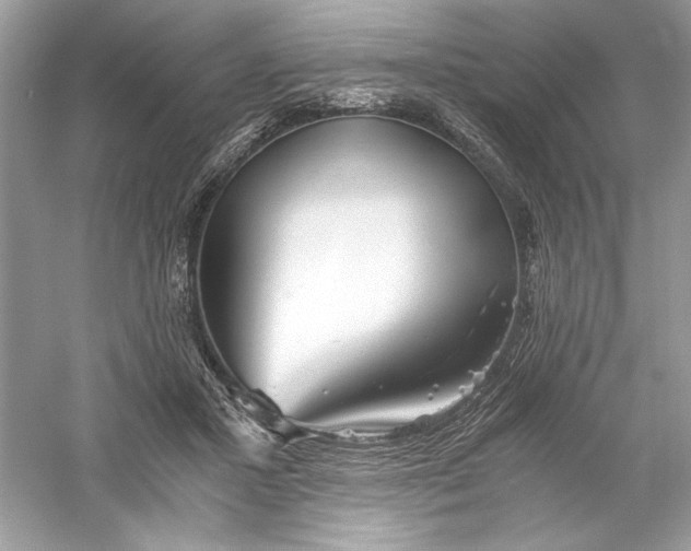 X0000056020407200509092144