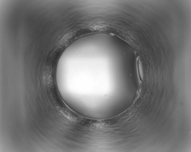 X0000056020408200509092144
