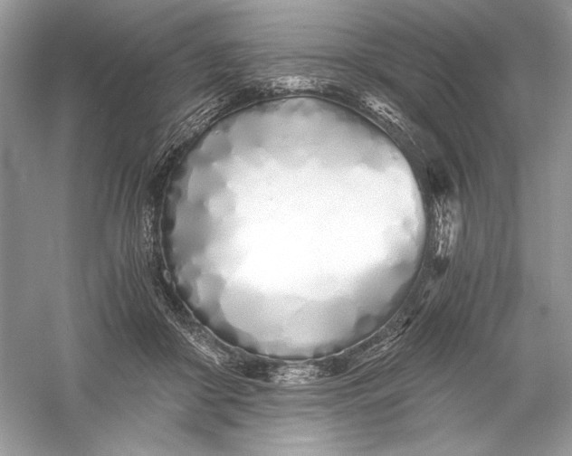 X0000056020410200509092144