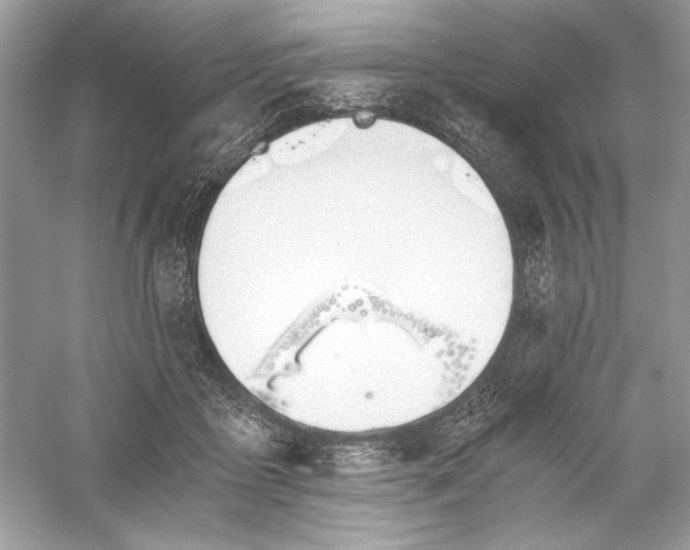 X0000056020411200509092144