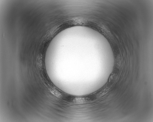 X0000056020413200509092144
