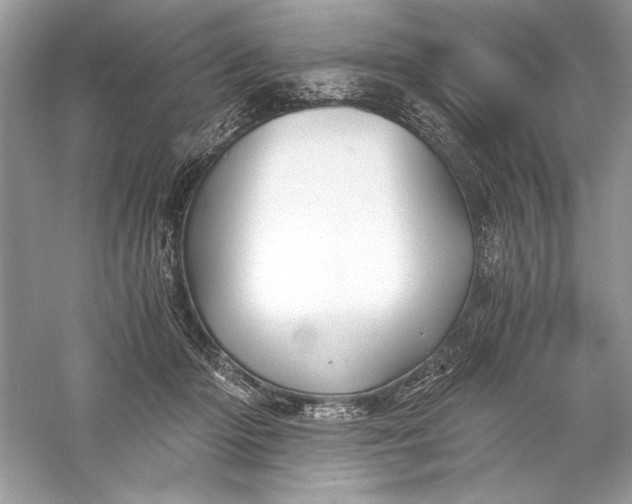 X0000056020414200509092144