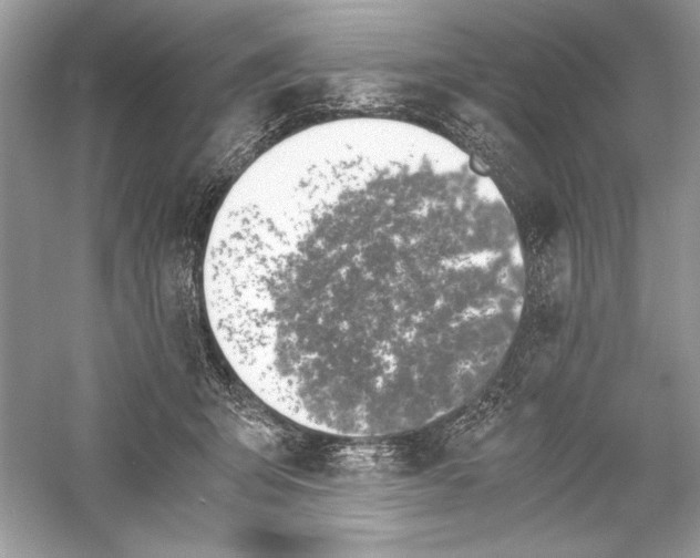 X0000056020415200509092144