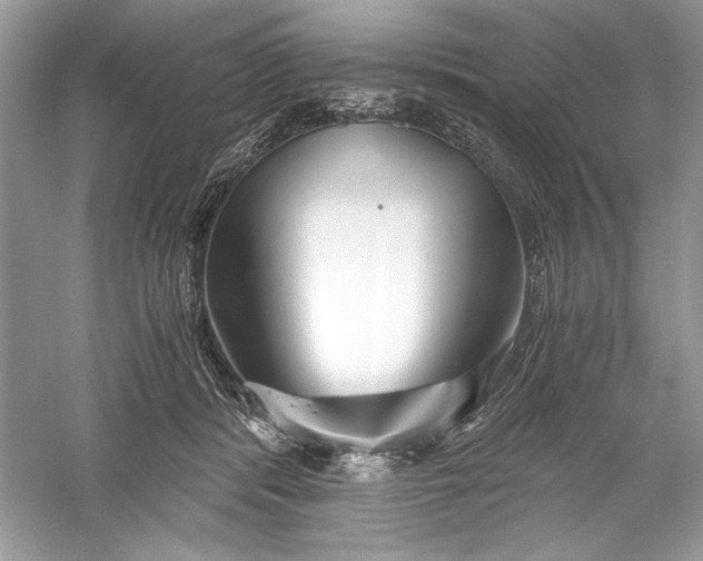 X0000056020416200509092144