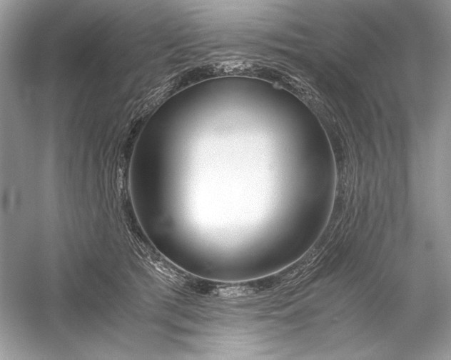X0000056020417200509092144