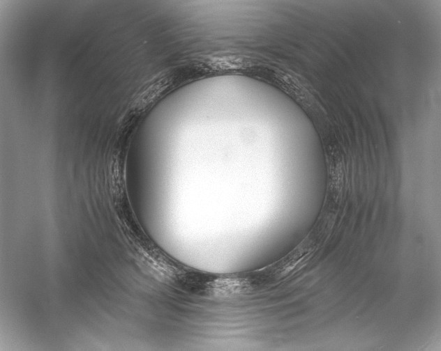 X0000056020418200509092144