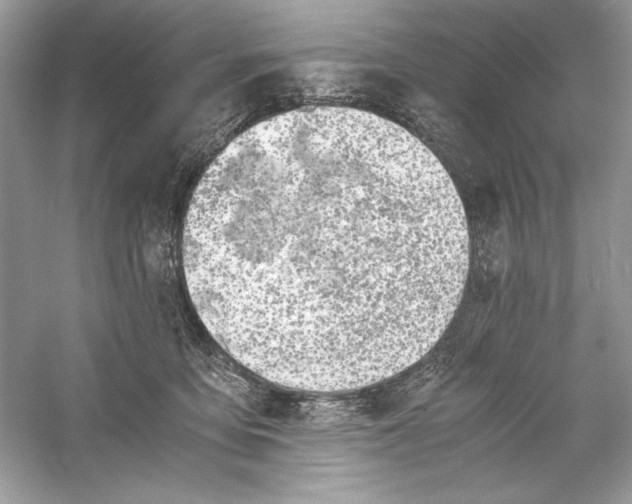 X0000056020419200509092144