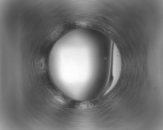X0000056020420200509092144