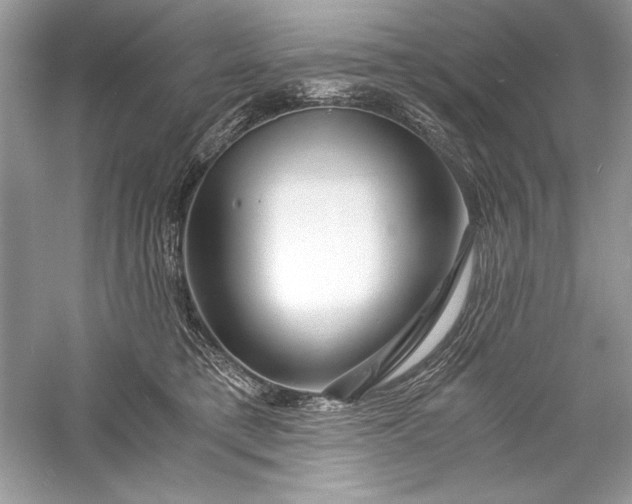 X0000056020421200509092144