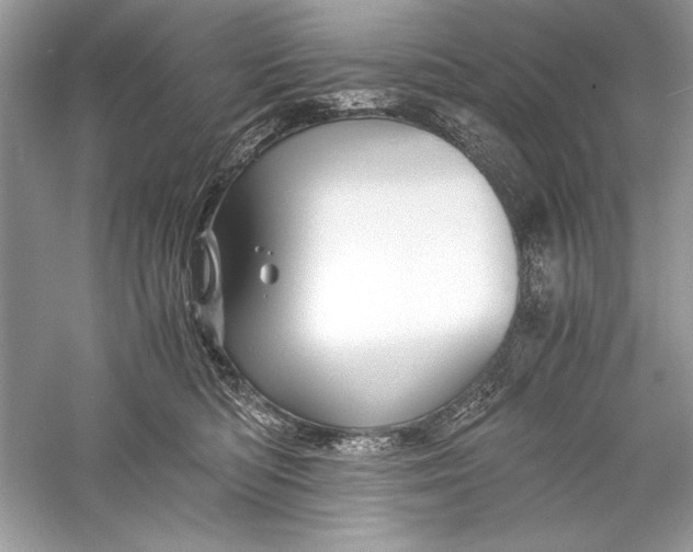 X0000056020422200509092144