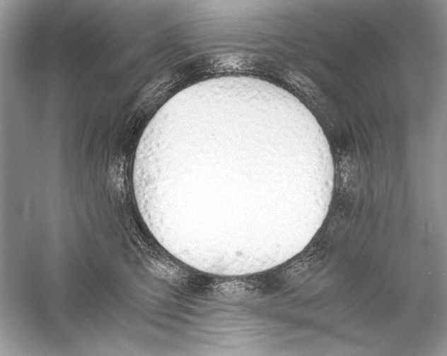 X0000056020423200509092144
