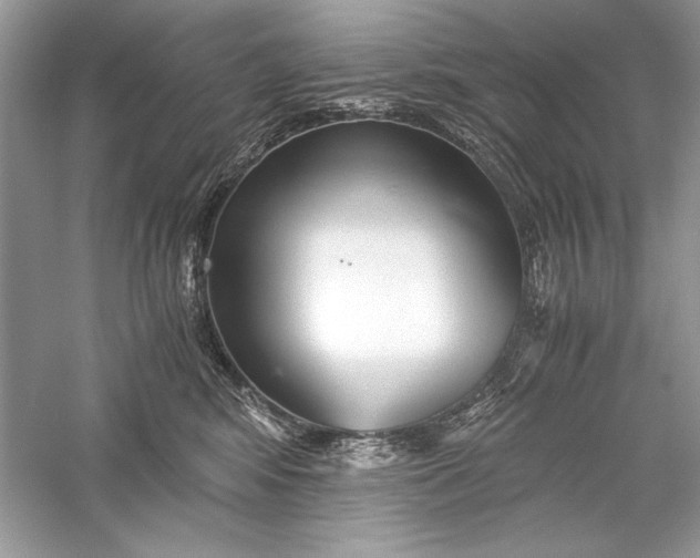 X0000056020424200509092144